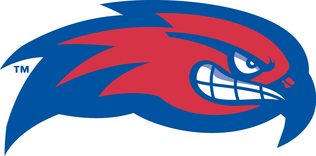 UMass Lowell River Hawks 2005-Pres Partial Logo diy DTF decal sticker